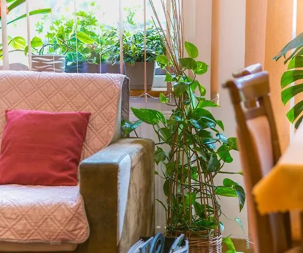 Sudety Blisko Szlakow Gorskich I Wyciagow Narciarskich, Prywatny Bezplatny Parking